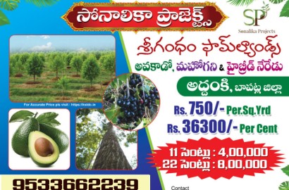 Farmlands in Guntur - Sonalika Projects, Addanki