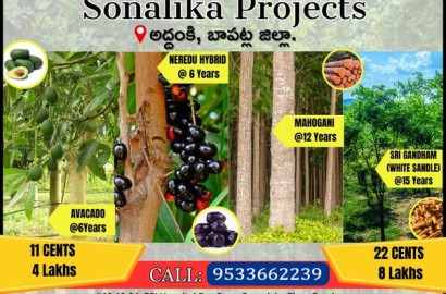 Sonalika Projects