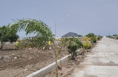 Plot for sale in Lingapuram, amaravathi, Guntur