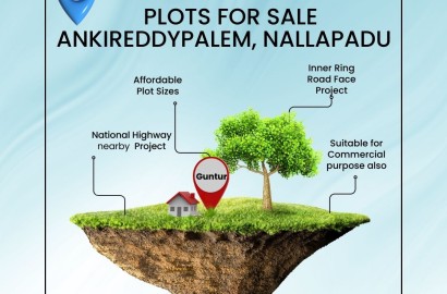 Open plots for sale in Guntur, Nallapadu, Ankireddypalem